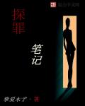 男主女主是陈哲,林穆,鲁玉的小说是什么_探罪笔记
