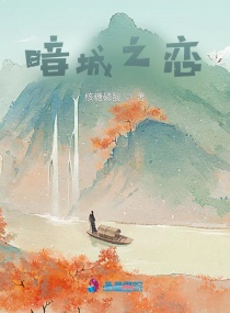 男主女主是田雨琳,江宇城,林景瑜的小说是什么_暗城之恋