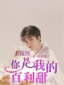 小说《王俊凯：你是我的百利甜》TXT下载_王俊凯：你是我的百利甜