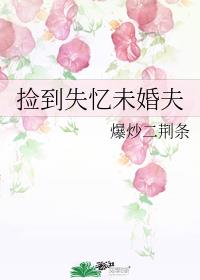 男主女主是松松,宫贾岩,路辉的小说是什么_捡到失忆未婚夫