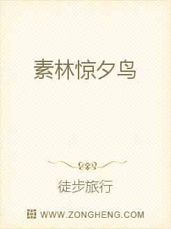 男主女主是谢青枫,严铭,司延的小说是什么_素林惊夕鸟
