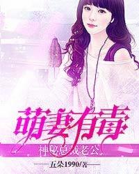 男主女主是穆少锋,阿锋,刘妈的小说是什么_萌妻有毒：神秘总裁老公