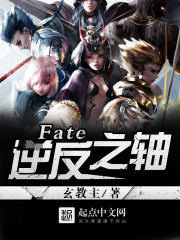 小说《Fate：逆反之轴》TXT百度云_Fate：逆反之轴