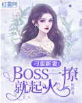 男主女主是顾玖,何锦添,江绍平的小说是什么_刁蛮新妻：Boss一撩就起火