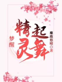 男主女主是小江,蓝姐,林惠的小说是什么_梦醒精灵起舞