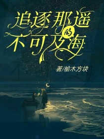 男主女主是邹研,邹奎,贺央央的小说是什么_追逐那遥不可及的海