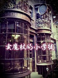 卖魔杖的店_卖魔杖的小学徒