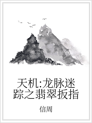 男主女主是李梦龙,李庚,丑哥的小说是什么_天机：龙脉迷踪之翡翠扳指