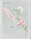 男主女主是陈星泽,陆昊,米盛的小说是什么_第三支玫瑰