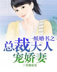 一纸婚书之总裁大人宠娇妻_一纸婚书之总裁大人宠娇妻