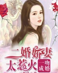 一吻成吻二婚娇妻太热火_一吻成婚：二婚娇妻太惹火