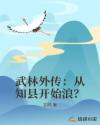男主女主是林风,佟湘玉,吴守义的小说是什么_武林外传：从知县开始浪？