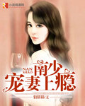 男主女主是李阳辉,张凤,韩一凡的小说是什么_南少宠妻上瘾