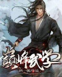 武学巅峰杨开小说_巅峰武学