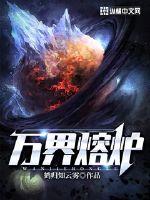 男主女主是刘沅,叶婷婷,刘铮的小说是什么_万界熔炉