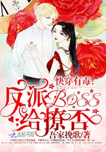 男主女主是叶瑾,初晟,林琅的小说是什么_快穿有毒：腹黑Boss，给撩否