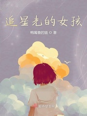 男主女主是何亮文,老许,陈楠轩的小说是什么_追星光的女孩