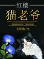 小说《红楼猫老爷》TXT下载_红楼猫老爷