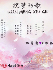 wy挽歌朽年_挽梦朽歌