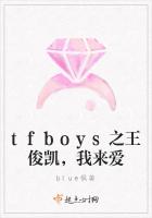 小说《tfboys之王俊凯，我来爱》TXT下载_tfboys之王俊凯，我来爱