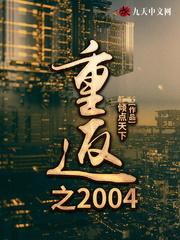 重返之2004江城免费阅读_重返之2004