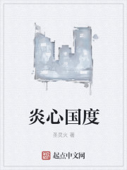 男主女主是王琅,汪涛,胡伟的小说是什么_炎心国度