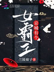男主女主是姜锦安,小林,陈曦的小说是什么_京城有个女霸王