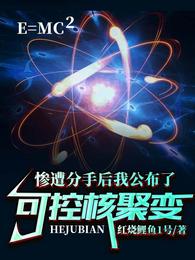 男主女主是江浩,时宇,陈鑫的小说是什么_惨遭分手后我公布了可控核聚变
