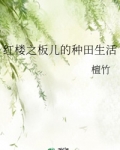男主女主是宝玉,刘氏,紫鹃的小说是什么_红楼之板儿的种田生活