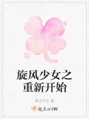 男主女主是洛熙,胡亦枫,方廷皓的小说是什么_旋风少女——新的开始