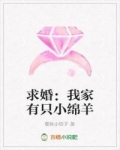 小说《求婚：我家有只小绵羊》TXT百度云_求婚：我家有只小绵羊