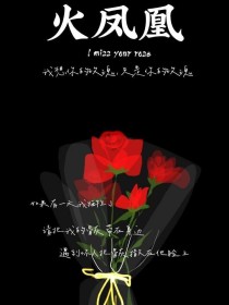 小说《特种兵之火凤凰：红玫瑰》TXT下载_特种兵之火凤凰：红玫瑰