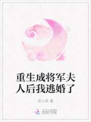 小说《重生成将军夫人后我逃婚了》TXT百度云_重生成将军夫人后我逃婚了