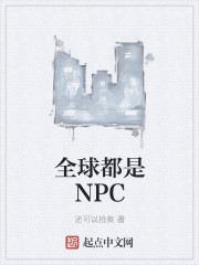 小说《全球都是NPC》TXT百度云_全球都是NPC