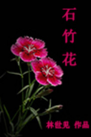 小说《石竹花》TXT百度云_石竹花