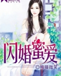 男主女主是邱少泽,陆婉晴,陆紫岚的小说是什么_闪婚蜜爱