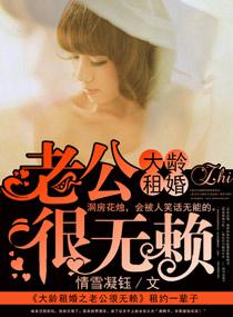 男主女主是傅雨,樊云,渡边龙介的小说是什么_大龄租婚之老公很无赖