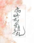 [小说][古装言情]《病娇太子夺妻手札》TXT全集下载（全本） 作者：柳韧枝（晋江VIP）  晋江VIP20_病娇太子夺妻手札