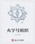 男主女主是陆玲,林毅,万青的小说是什么_火字号组织