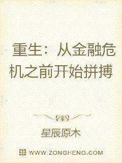 重生：从金融危机之前开始拼搏_重生：从金融危机之前开始拼搏