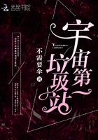 男主女主是林瑜璇,尼尔菲德,尼尔森维的小说是什么_宇宙第一垃圾站