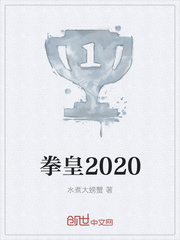 陈三洪一乐《拳皇2020》_拳皇2020