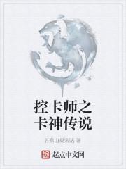 男主女主是杨烨,南宫言,王翼的小说是什么_控卡师之卡神传说