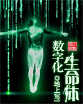 男主女主是钟林,雅婷,陆雅婷的小说是什么_数字化生命体