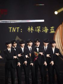 小说《TNT：林深海蓝》TXT下载_TNT：林深海蓝