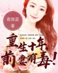 男主女主是安安,宁淑贤,张美惠的小说是什么_重生十年：前妻有毒!