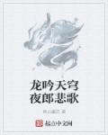 小说《龙吟天穹夜郎悲歌》TXT下载_龙吟天穹夜郎悲歌