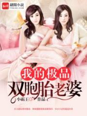 男主女主是赵辰,任佳颖,慕容的小说是什么_我的极品双胞胎老婆