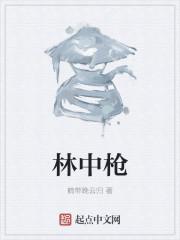 男主女主是吴鹿,陈禹陶,汪洋琨的小说是什么_林中枪