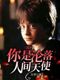 小说《HP：你是沦落人间天使》TXT下载_HP：你是沦落人间天使